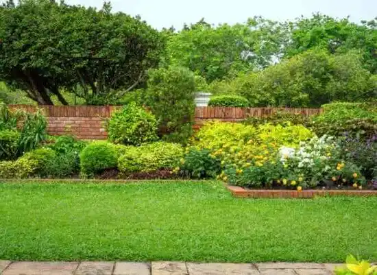 landscaping services Kannapolis